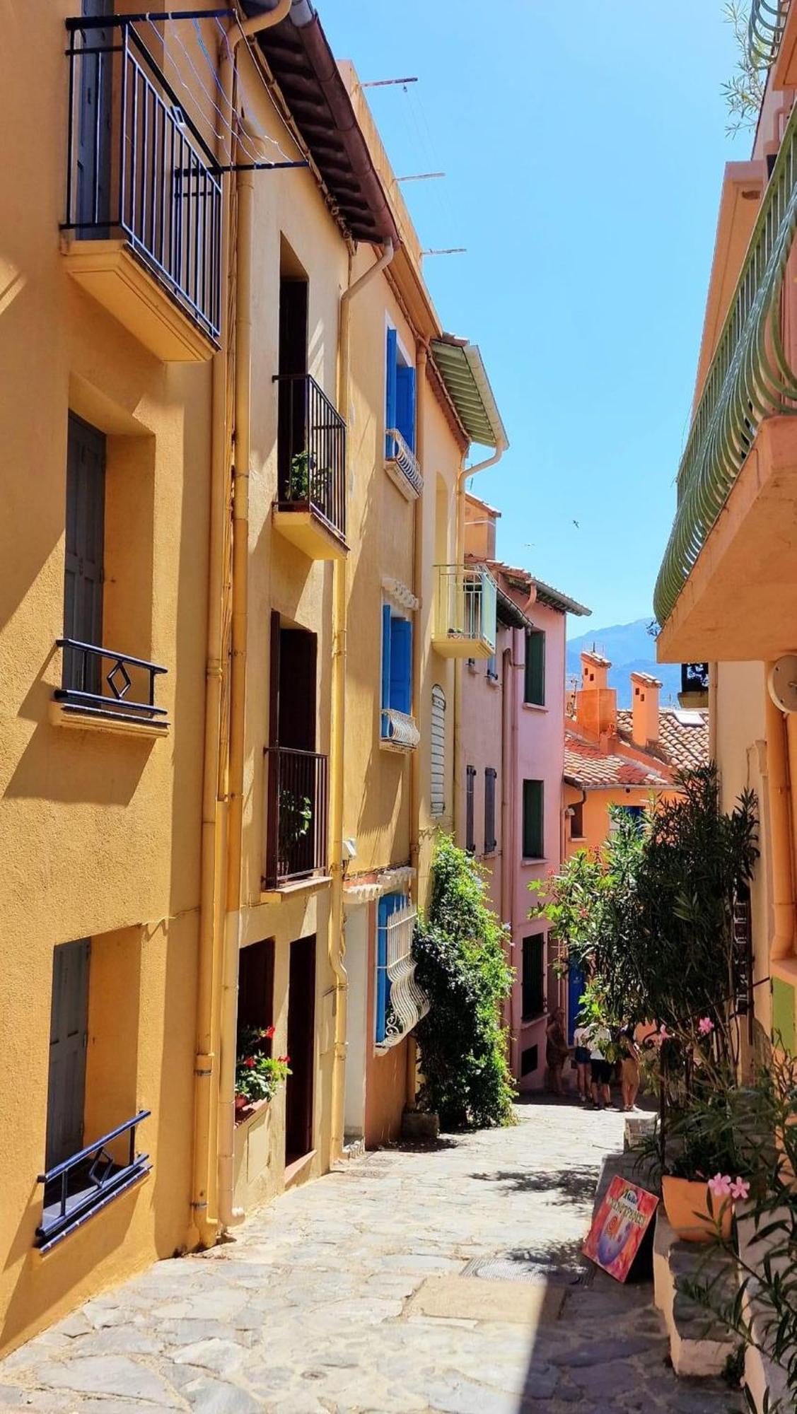 5Rbut1 - Maison Familiale Sur Deux Niveaux En Plein Coeur Du Centre Ville Collioure Bagian luar foto